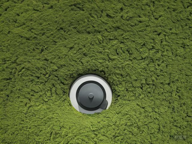 The Art and Legacy of Chinese Black Tea